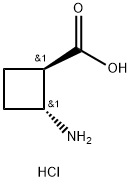 trans-2-aminocyclobutane-1-carboxylic acid hydrochloride