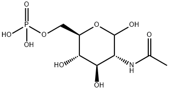 N-Acetyl-D-chondrosamine 6-phosphate