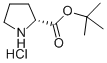 D-PROLINE TERT-BUTYL ESTER HYDROCHLORIDE