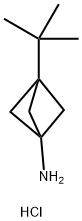 3-tert-butylbicyclo[1.1.1]pentan-1-amine
