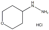(tetrahydro-pyran-4-yl)-hydrazine hydrochloride