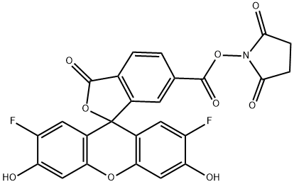 Oregon Green 488 carboxylic acid succinimidyl ester 6-isomer