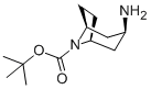 endo-3-amino-8-boc-8-azabicyclo[3.2.1]octane