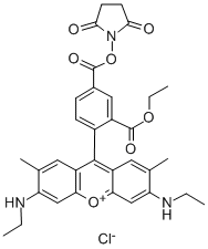 5-Carboxyrhodamine 6G succinimidyl ester