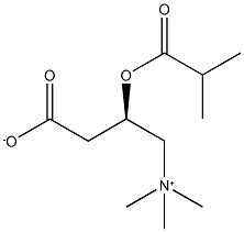 (3R)-3-(2-methylpropanoyloxy)-4-trimethylazaniumylbutanoate