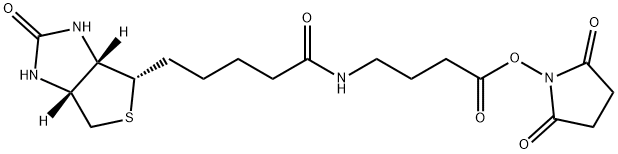2,5-Dioxopyrrolidin-1-yl 4-(5-((3aS,4S,6aR)-2-oxohexahydro-1H-thieno[3,4-d]iMidazol-4-yl)pentanaMido)butanoate