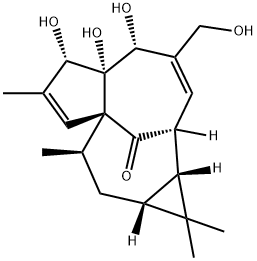 Ingenol