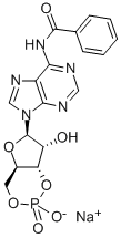 6-BNZ-CAMP SODIUM SALT