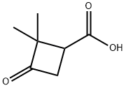 2,2-DiMethyl-3-oxocyclobutanecarboxylic acid