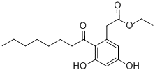 Csn-B