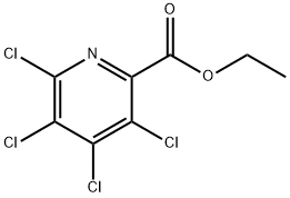 ETHYL 3,4,5,6-TETRACHLOROPYRIDINE-2-CARBOXYLATE
