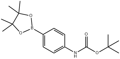 4-(N-Boc-amino)phenylboronic acid pinacol ester