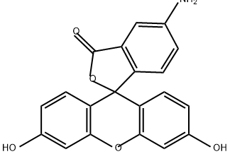5-Aminofluorescein