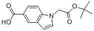 1-(2-TERT-BUTOXY-2-OXOETHYL)-1H-INDOLE-5-CARBOXYLIC ACID