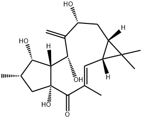 7β-Hydroxylathyrol