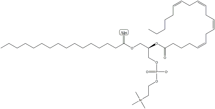 1-PalMitoyl-2-arachidoyllecithin
