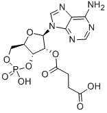 2'-O-MONOSUCCINYLADENOSINE 3':5'-CYCLIC MONOPHOSPHATE