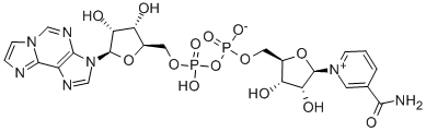 1,N6-ETHENO NAD