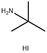 tert-Butylamine Hydroiodide