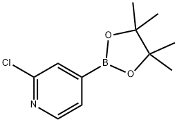 2-Chloropyridine-4-boronic acid pinacol ester