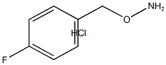 O-(4-Fluoro-benzyl)-hydroxylamine hydrochloride