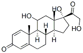 PREDNISOLONE