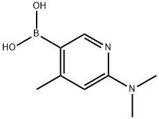 6-dimethylamino-4-methyl-pyridineboronic acid