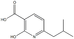 2-Hydroxy-6-isobutylnicotinic acid