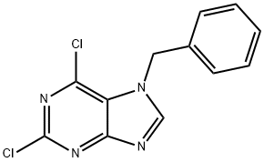 7-benzyl-2,6-dichloro-7H-purine
