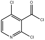 2,4-Dichloronicotinoyl chloride