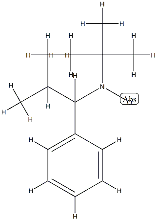 2,2,5-TriMethyl-4-phenyl-3-azahexane-3-nitroxide