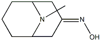 (+/-)-Pseudopelletierine oxime