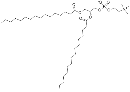 1,2-DIPALMITOYL-SN-GLYCERO-3-PHOSPHOCHOLINE