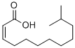cis-Δ2-11-methyl-Dodecenoic Acid