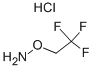 O-(2,2,2-Trifluoroethyl)hydroxylamine hydrochloride