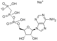 ADENYLYLMETHYLENEDIPHOSPHONATE SODIUM SALT