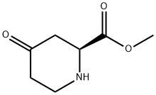 2-Piperidinecarboxylicacid,4-oxo-,methylester,(S)-(9CI)