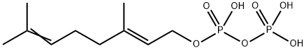 GERANYL PYROPHOSPHATE AMMONIUM 200