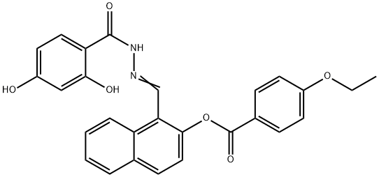 SALOR-INT L404284-1EA