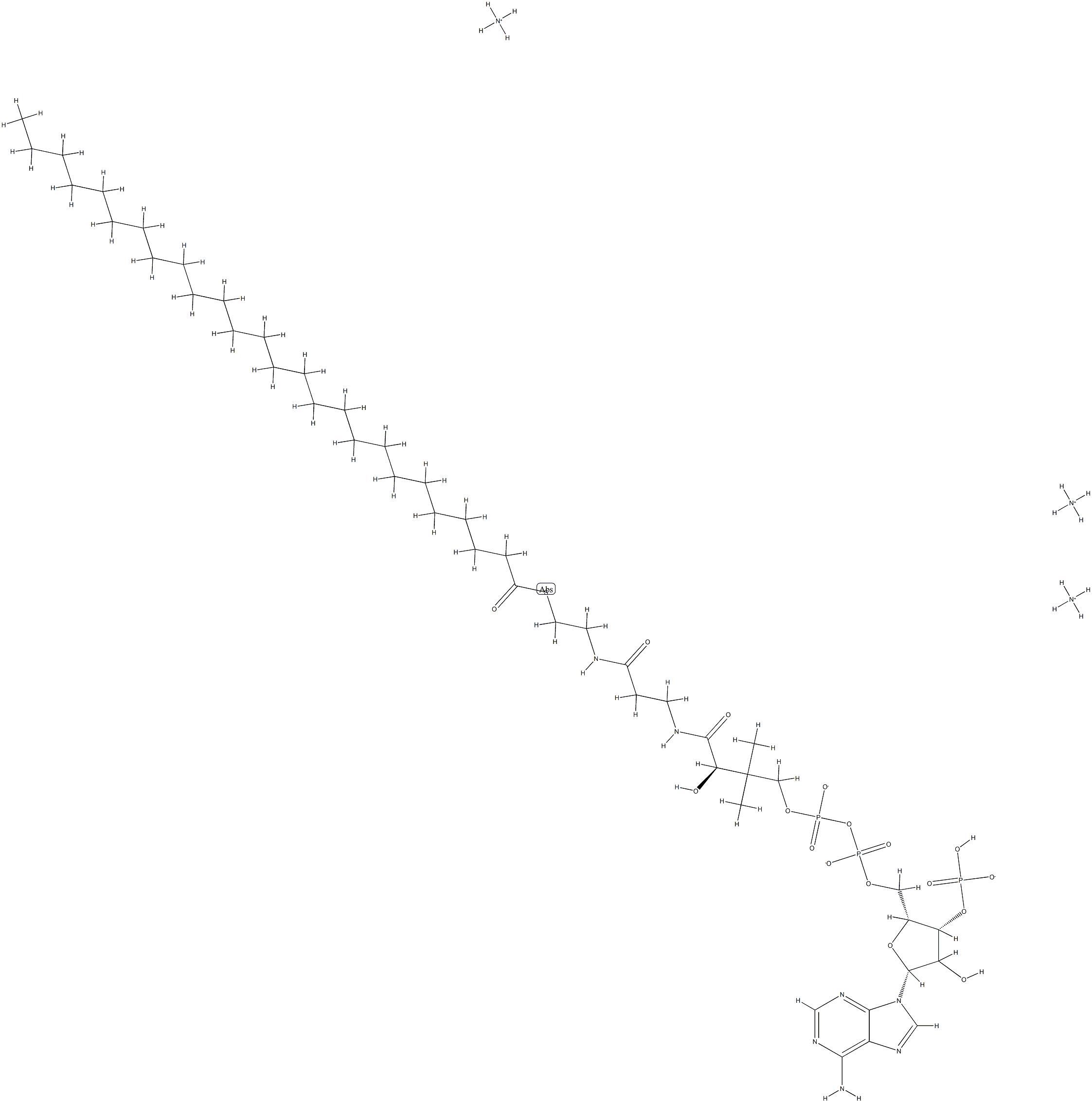 hexacosanoyl CoenzyMe A (aMMoniuM salt)