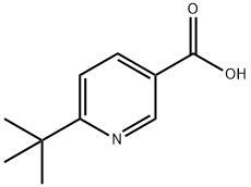 6-tert-butylnicotinic acid