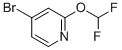 4-broMo-2-(difluoroMethoxy)pyridine