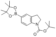 tert-butyl 5-(4,4,5,5-tetramethyl-1,3,2-dioxaborolan-2-yl)indoline-1-carboxylate
