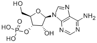 3'-ADENYLIC ACID