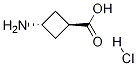 trans-3-AMinocyclobutanecarboxylic acid hydrochloride