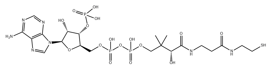 Coenzyme A