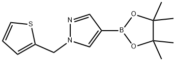 4-(4,4,5,5-TETRAMETHYL-[1,3,2]DIOXABOROLAN-2-YL)-1-THIOPHEN-2-YLMETHYL-1H-PYRAZOLE
