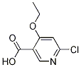 6-CHLORO-4-ETHOXYNICOTINIC ACID
