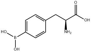 4-BORONO-DL-PHENYLALANINE B10 ENRICHED