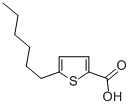 5-Hexyl-2-thiophenecarboxylic acid
		
	